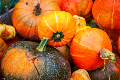 Pumpkins at market stall for sale