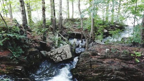 River flowing through rocks