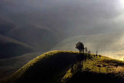 Scenic view of tree mountains against sky
