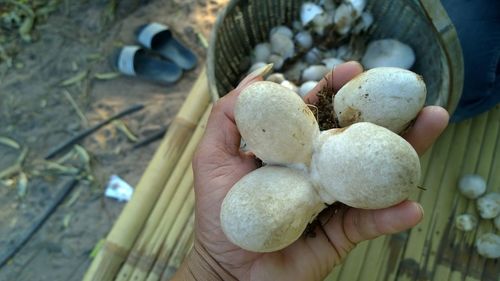 High angle view of person hand