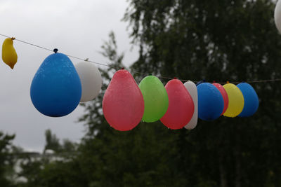 Close-up of multi colored balloons hanging against trees