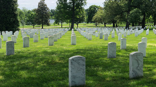 View of cemetery against trees