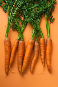 Flat lay top view composition with bio carrots on orange background. copy space