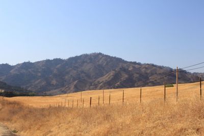 Scenic view of field against clear sky