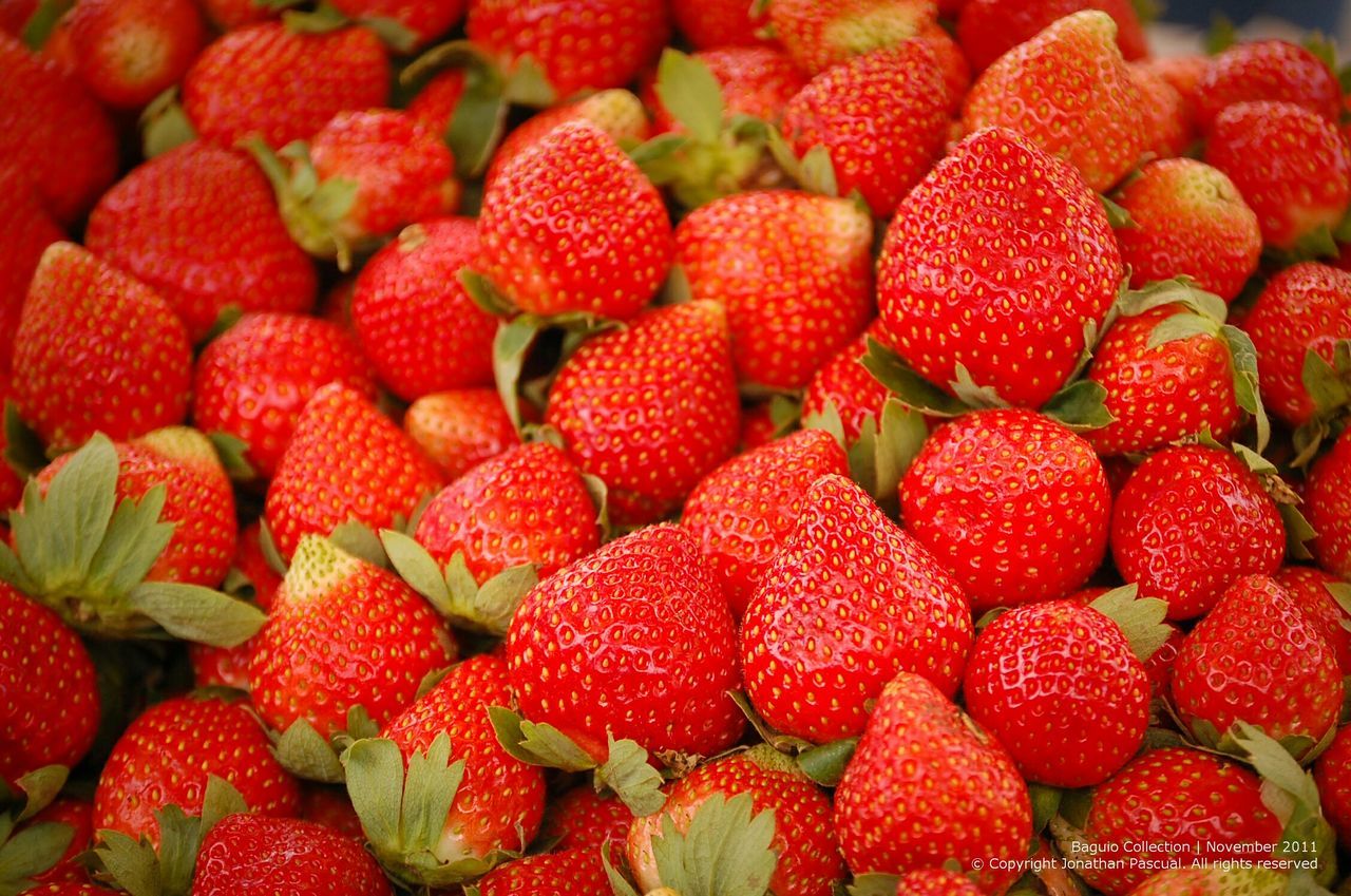 CLOSE-UP OF STRAWBERRIES