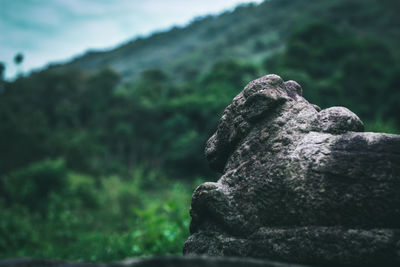 Close-up of statue against rock