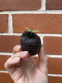 Close-up of person holding hands against wall