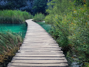 Boardwalk amidst trees in forest