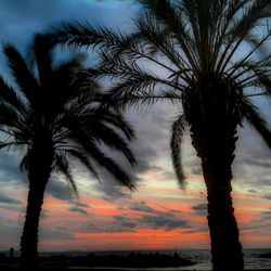 Silhouette palm tree by sea against sky during sunset