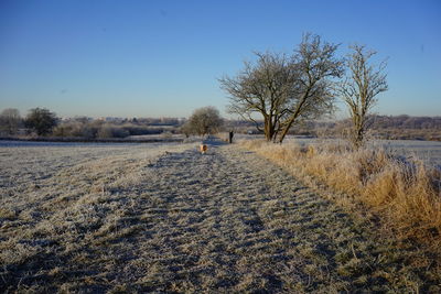 Scenic view of field against clear sky