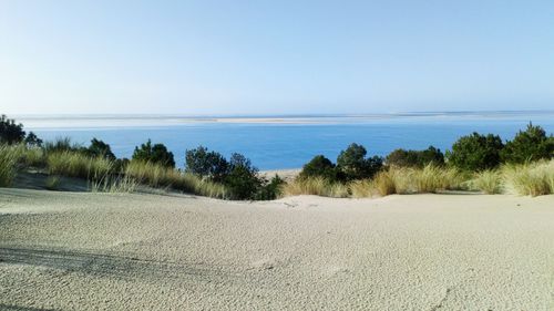 Scenic view of beach against clear sky