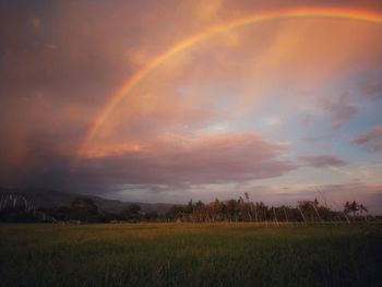 Scenic view of rainbow over field