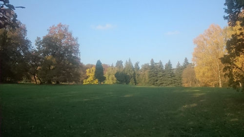 Scenic view of grassy field against sky