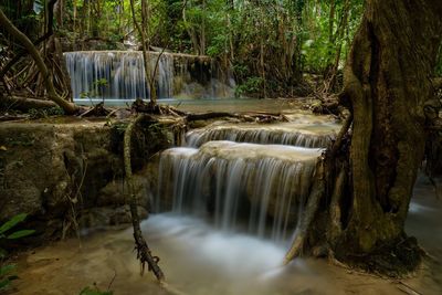 Scenic view of waterfall in forest