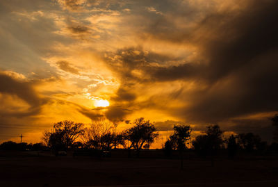 Silhouette trees on field against dramatic sky during sunset