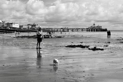 Man standing with dog at beach against sky