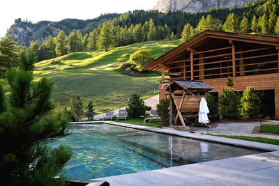 Rear view of woman standing in swimming pool