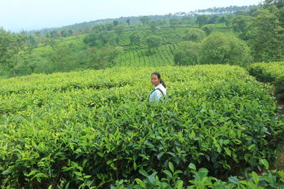 Man standing in field