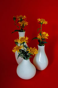 Close-up of flower vase against red wall