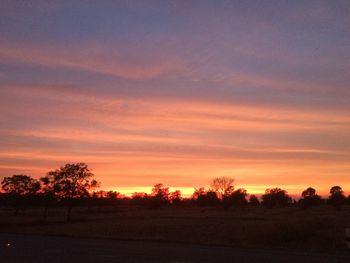 Silhouette trees on field against sky during sunset