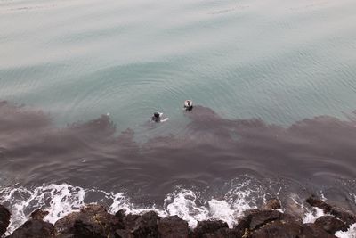 High angle view of people on sea