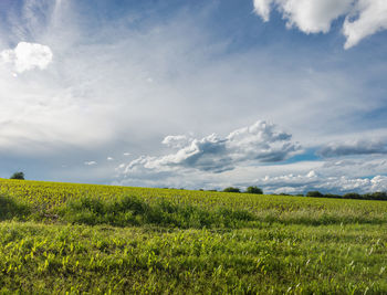 Scenic view of field against cloudy sky