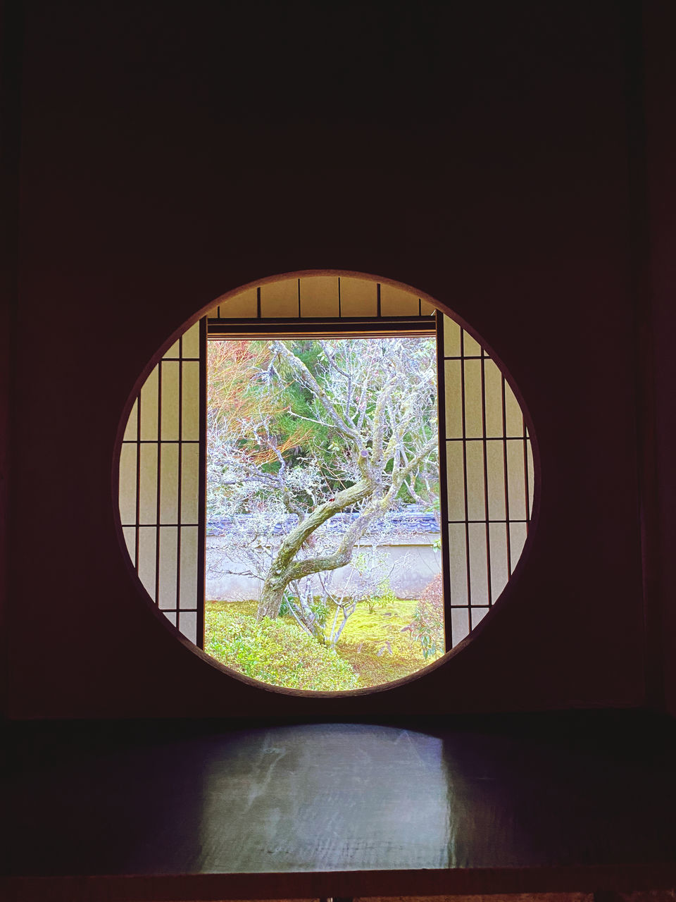 window, tree, plant, light, glass, indoors, architecture, no people, nature, reflection, day, geometric shape, circle, built structure, daylighting, lighting, shape, sunlight, interior design, growth, wall, yellow, green, wood