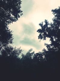 Low angle view of silhouette trees against sky at sunset