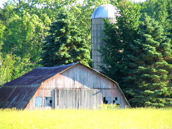 View of trees and buildings