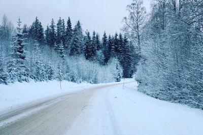 Road amidst trees against sky during winter