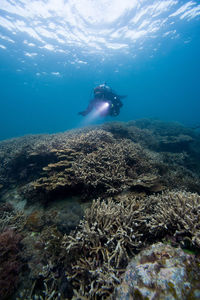 Man swimming in sea