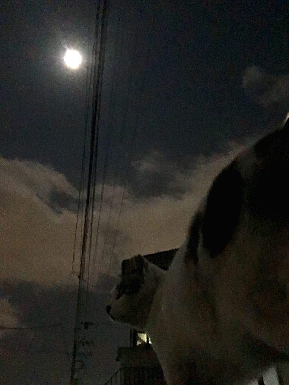 sky, one person, moon, night, men, real people, illuminated, nature, outdoors, one man only, people