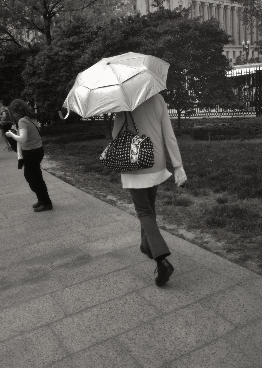 full length, lifestyles, casual clothing, childhood, leisure activity, girls, rear view, person, elementary age, walking, tree, park - man made space, umbrella, street, standing, boys, shadow, day