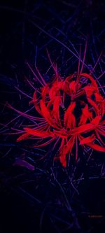 View of illuminated lights at night