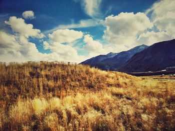 Scenic view of field against sky