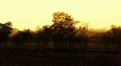 Silhouette trees on field against clear sky