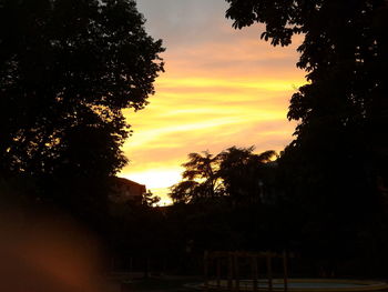 Silhouette of trees at sunset