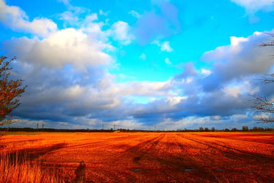 Scenic view of agricultural field against sky