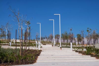 Panoramic shot of trees against clear blue sky