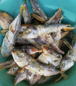 Close-up of fish for sale