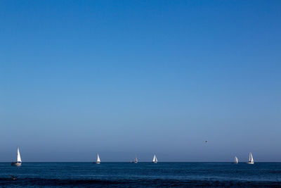 Sailboat sailing on sea against clear blue sky