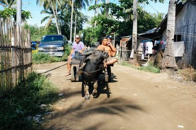 Man and son on roadside