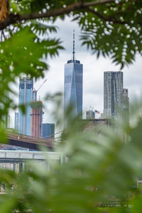 Brooklyn bridge and skyscrapers seen through trees