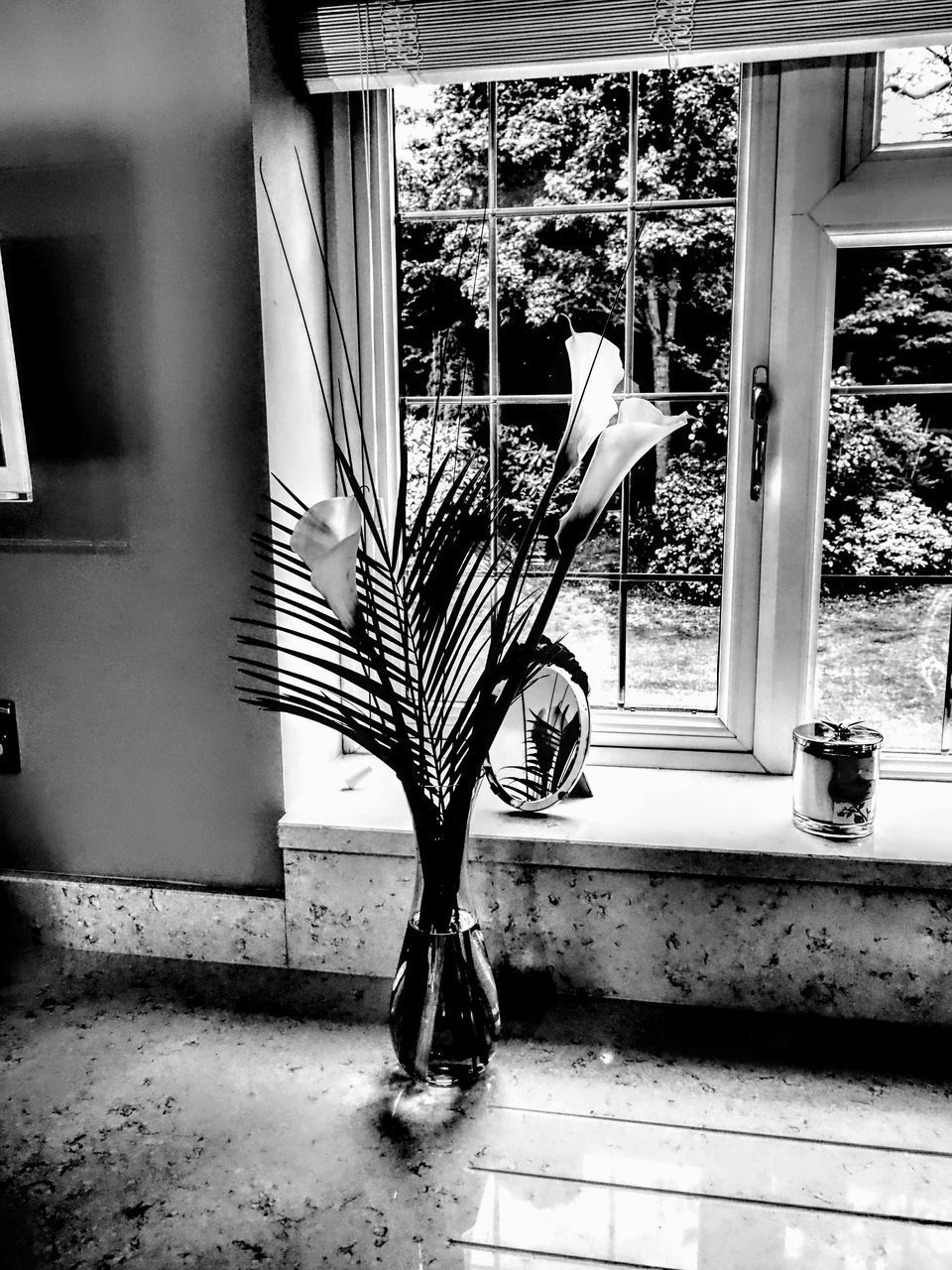 CLOSE-UP OF POTTED PLANT AGAINST WINDOW