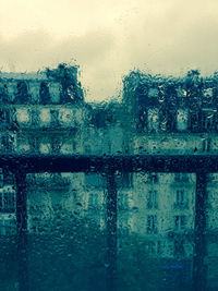 Rain drops on glass window