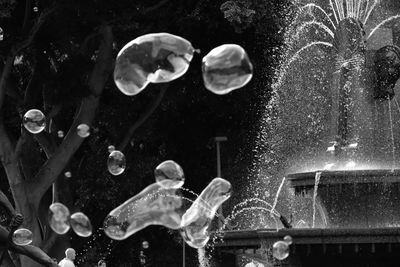 Close-up of jellyfish in water at aquarium