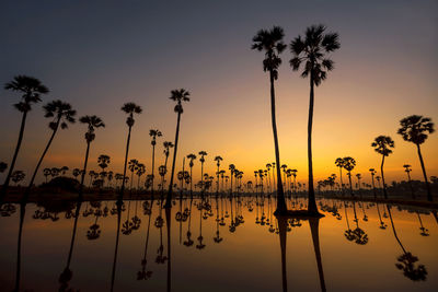 Silhouette palm trees by lake against sky during sunset