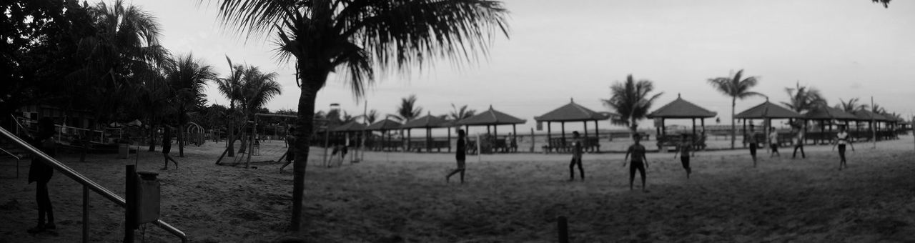 water, beach, tree, sea, tranquility, tranquil scene, shore, nature, sky, palm tree, scenics, sand, beauty in nature, clear sky, horizon over water, growth, outdoors, day, lake, no people