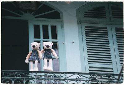 Low angle view of teddy bears hanging on rope against door