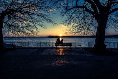 Silhouette of trees at sunset